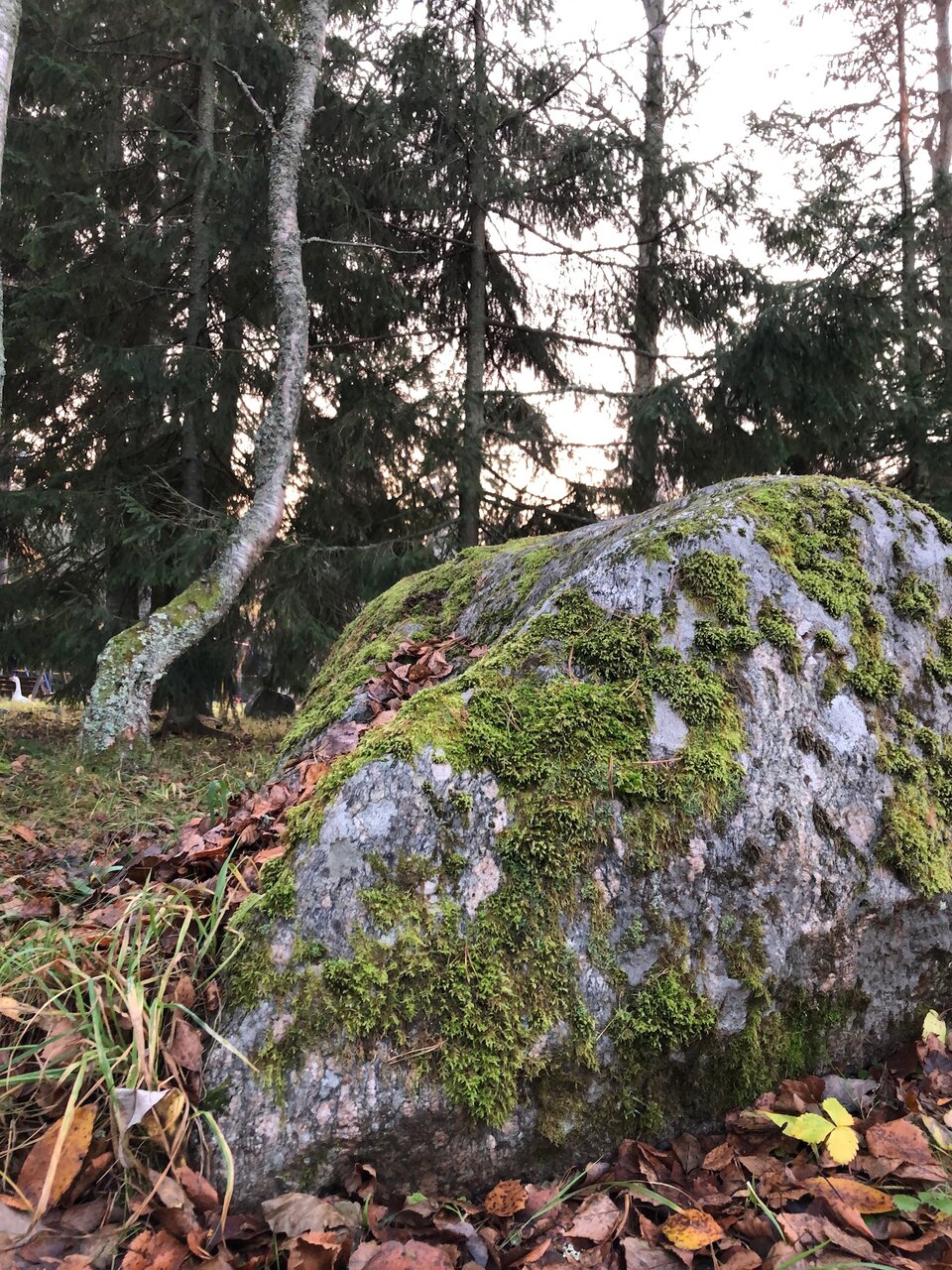 Гостевой дом Самая Ладога Приозерск-198