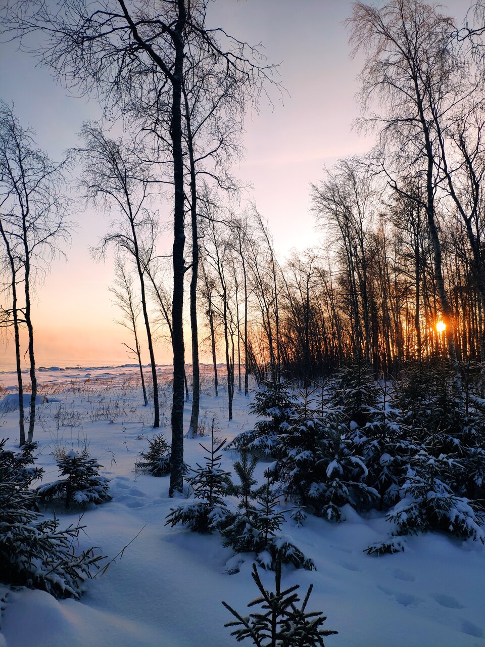 Гостевой дом Самая Ладога Приозерск-136