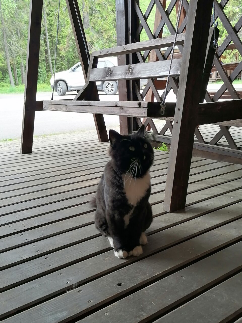 Гостевой дом Самая Ладога Приозерск-73