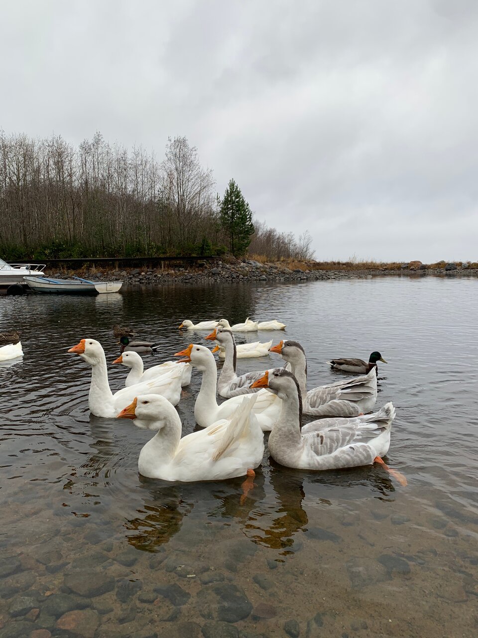Гостевой дом Самая Ладога Приозерск-70