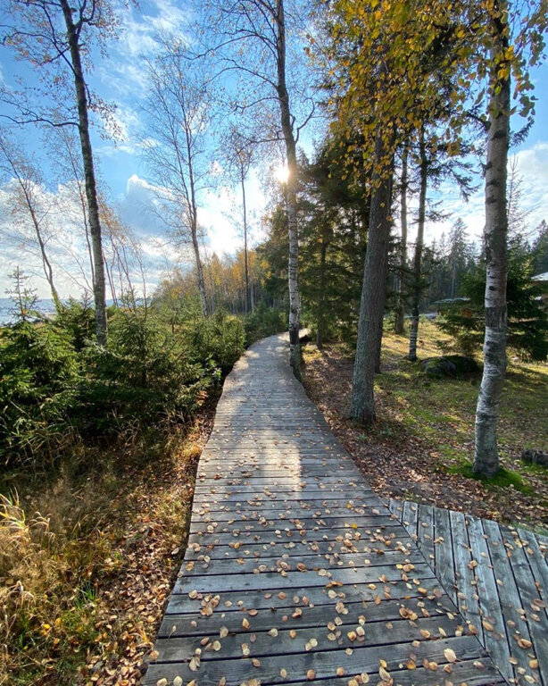 Гостевой дом Самая Ладога Приозерск-140