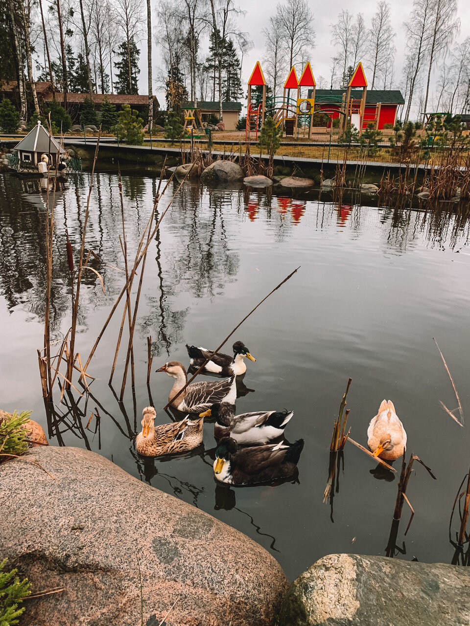 Гостевой дом Самая Ладога Приозерск-76