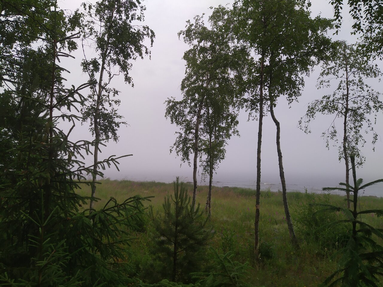 Гостевой дом Самая Ладога Приозерск-253