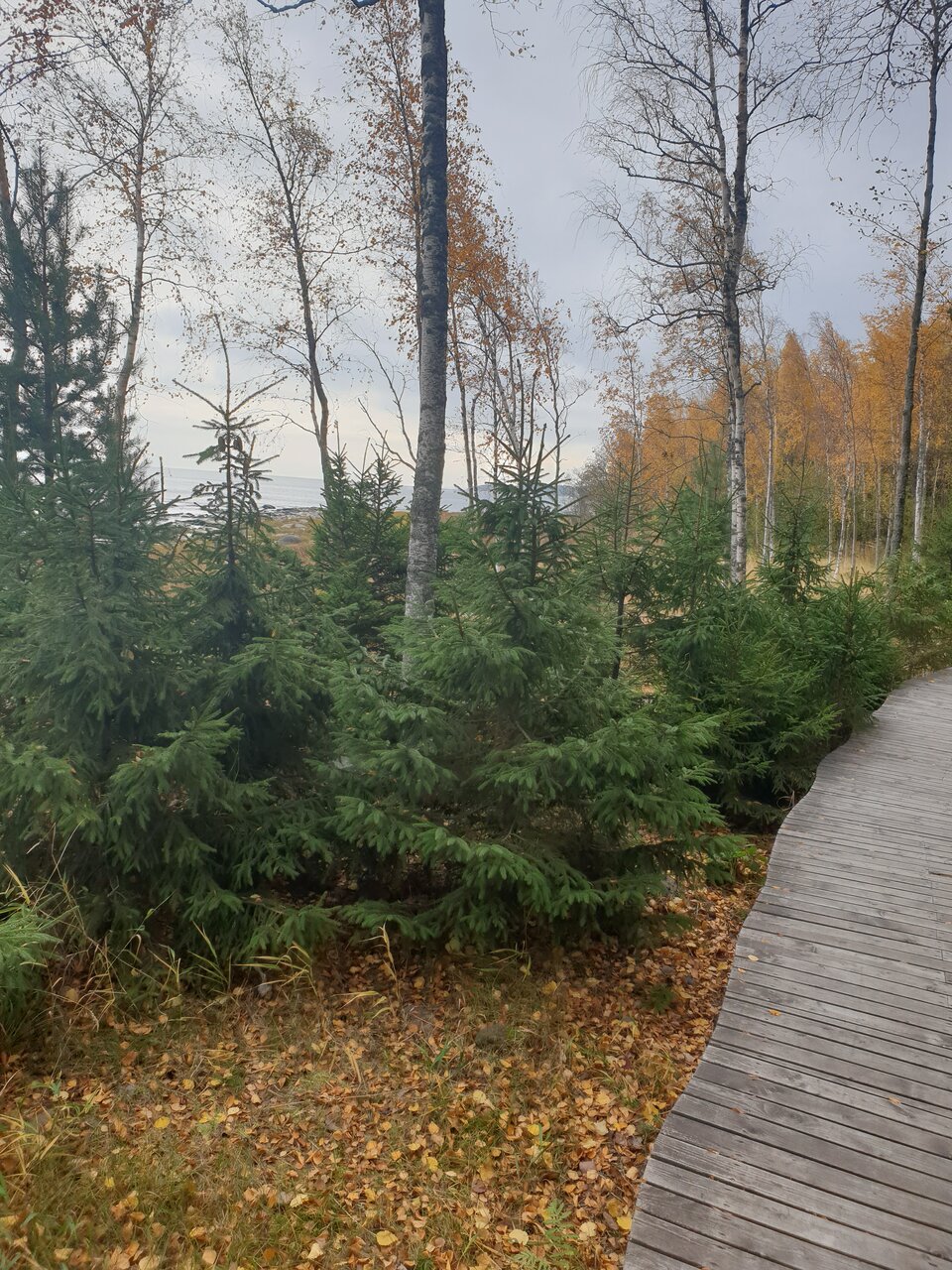 Гостевой дом Самая Ладога Приозерск-174