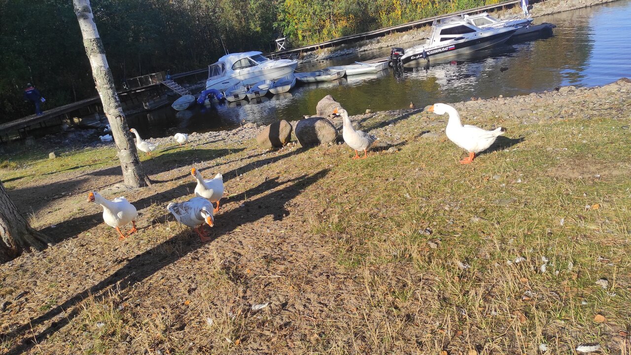 Гостевой дом Самая Ладога Приозерск-155