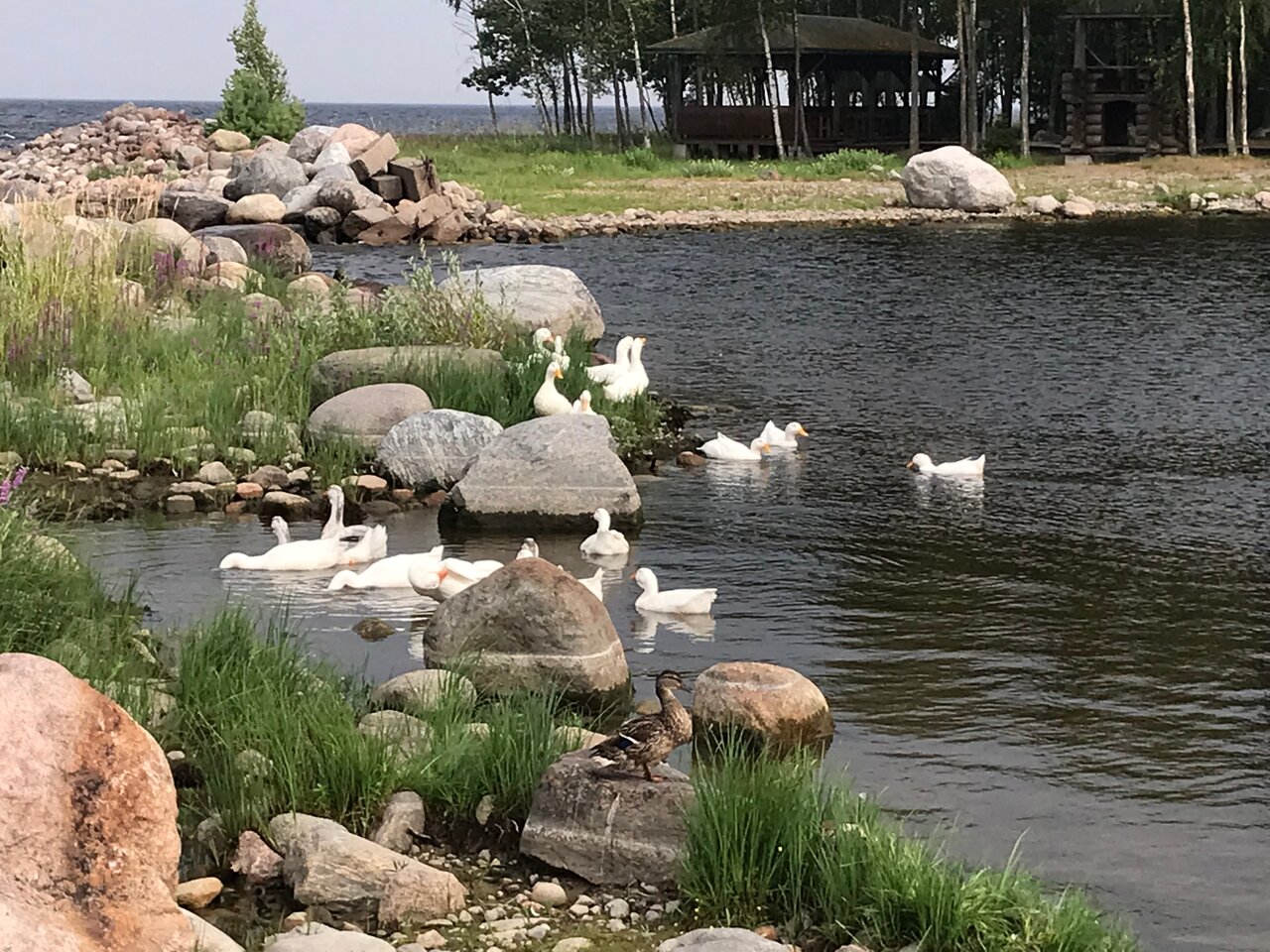 Гостевой дом Самая Ладога Приозерск-63