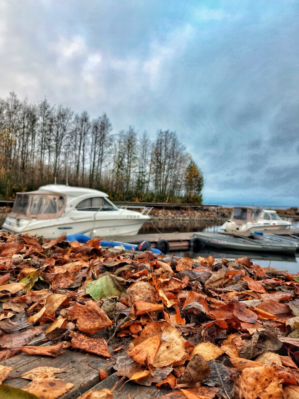 Гостевой дом Самая Ладога Приозерск-134