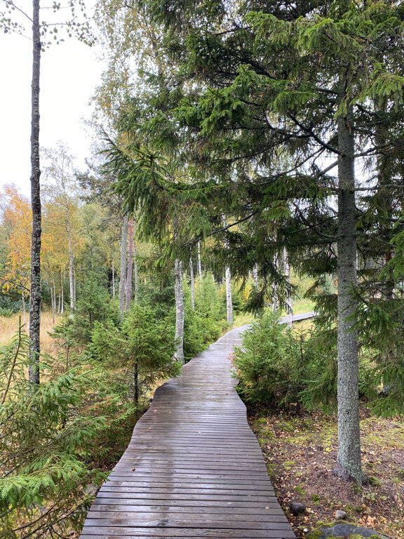 Гостевой дом Самая Ладога Приозерск-149