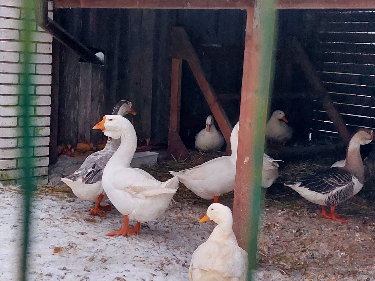 Гостевой дом Самая Ладога Приозерск-126