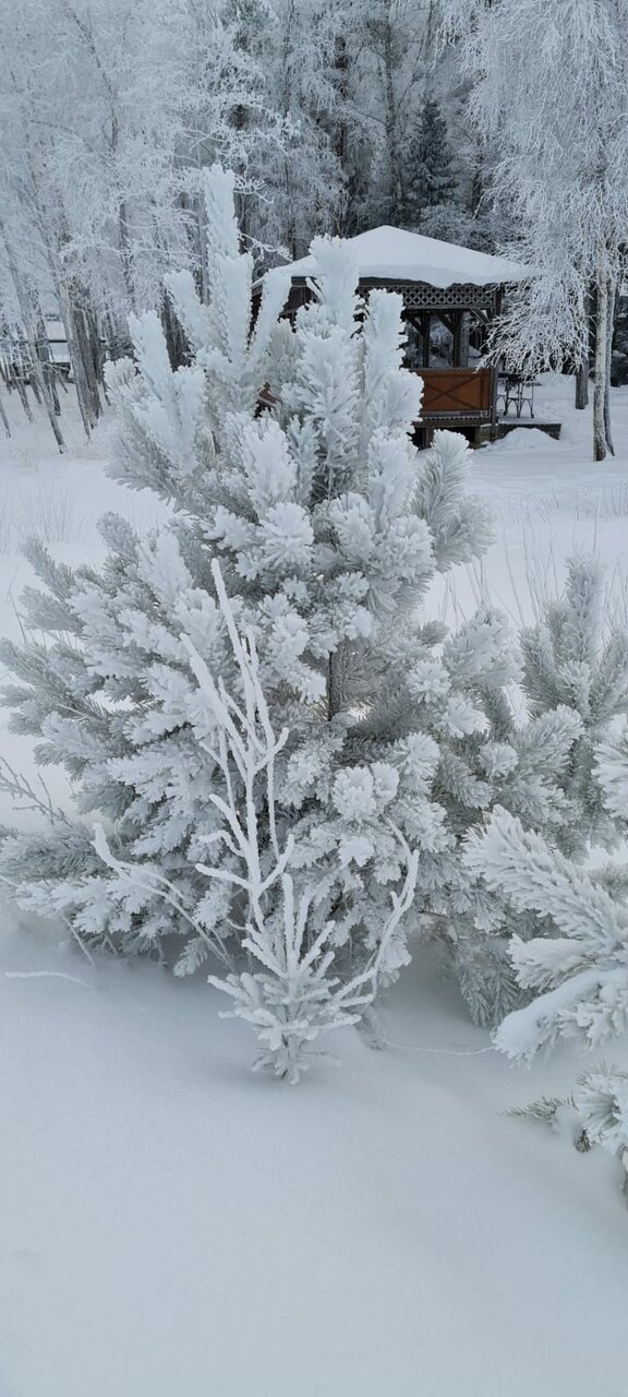 Гостевой дом Самая Ладога Приозерск-186