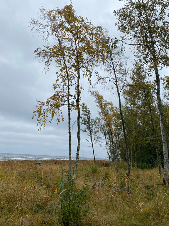 Гостевой дом Самая Ладога Приозерск-158