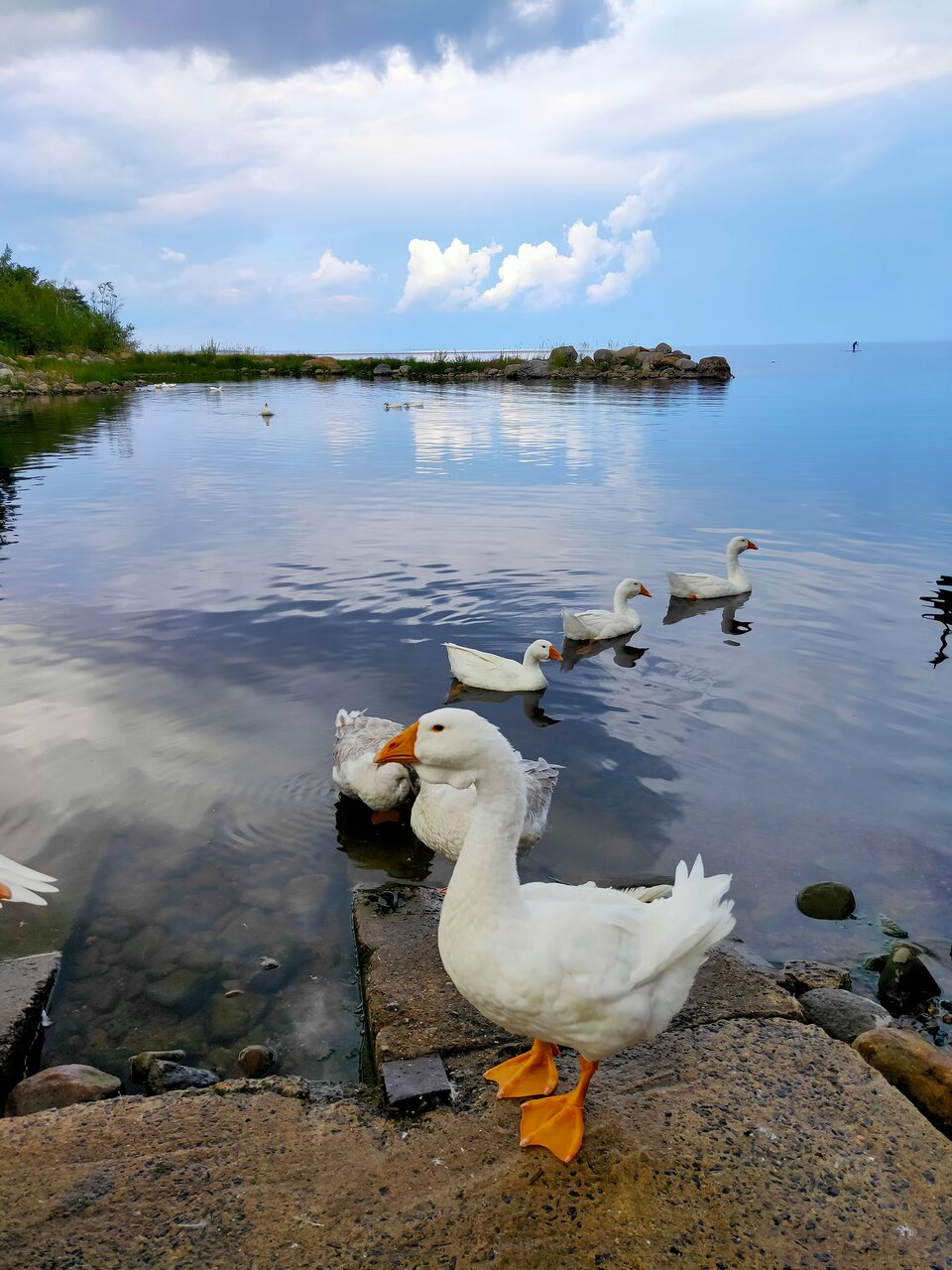 Гостевой дом Самая Ладога Приозерск-96