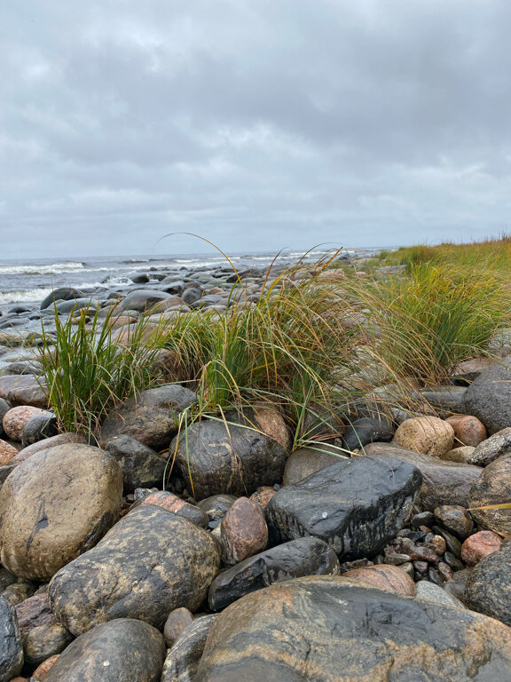 Гостевой дом Самая Ладога Приозерск-168
