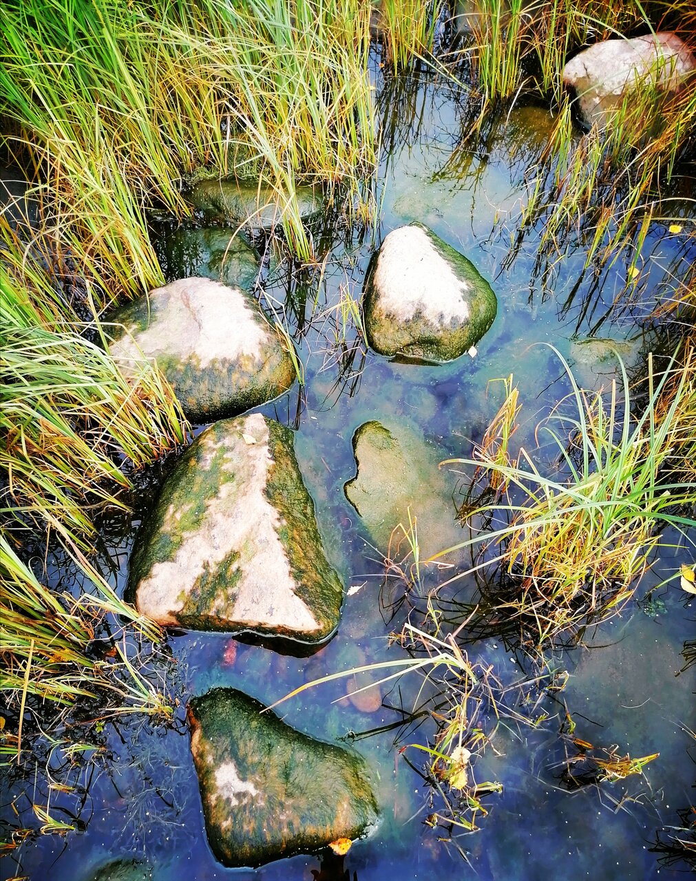 Гостевой дом Самая Ладога Приозерск-147
