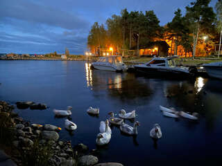 Гостевой дом Самая Ладога Приозерск-1