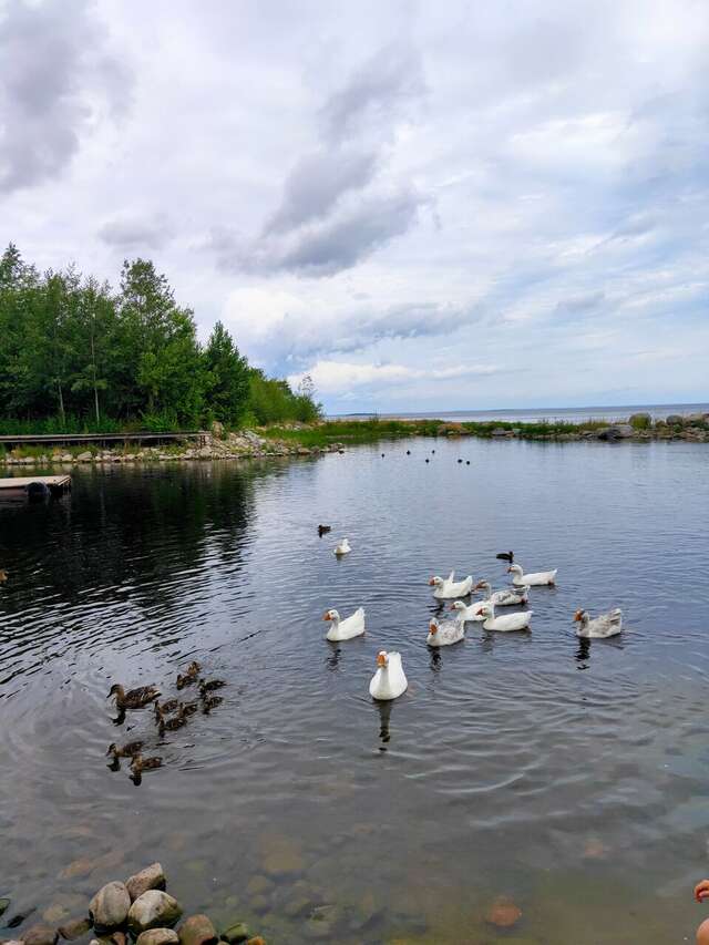 Гостевой дом Самая Ладога Приозерск-140