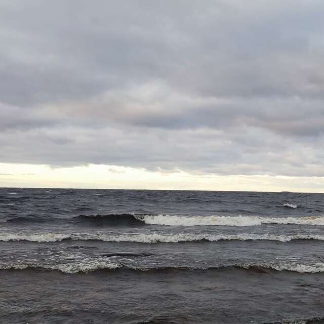 Гостевой дом Самая Ладога Приозерск-176