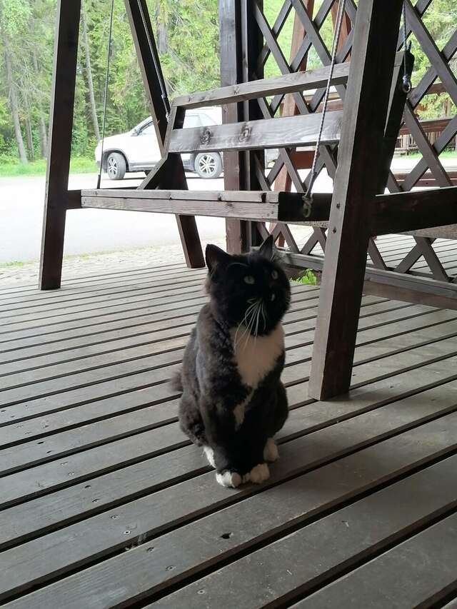 Гостевой дом Самая Ладога Приозерск-72