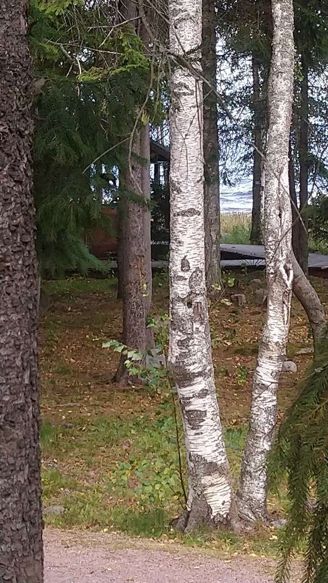 Гостевой дом Самая Ладога Приозерск-189