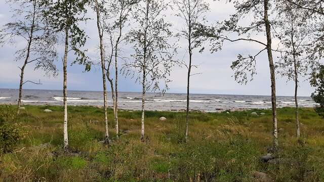 Гостевой дом Самая Ладога Приозерск-89