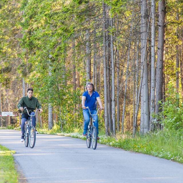 Гостевой дом Самая Ладога Приозерск-17