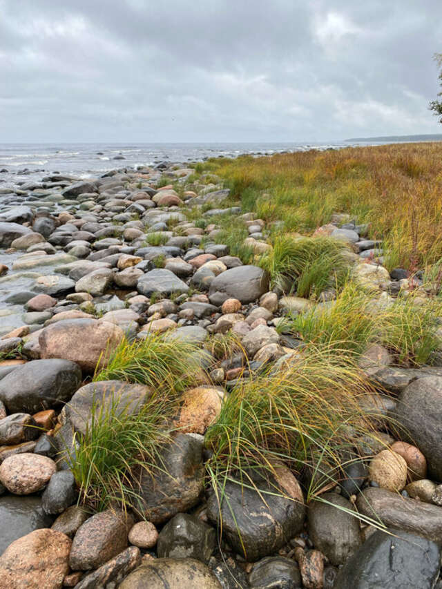 Гостевой дом Самая Ладога Приозерск-87