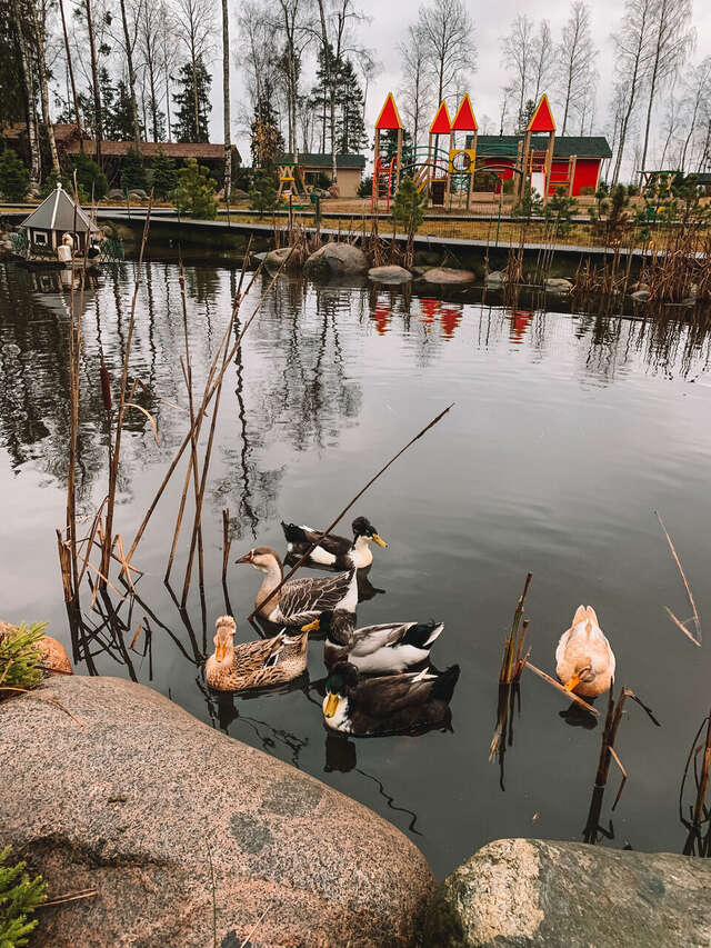 Гостевой дом Самая Ладога Приозерск-75