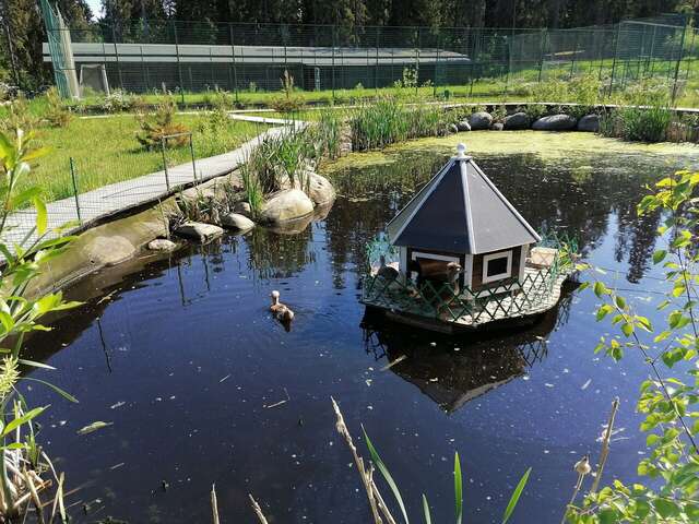 Гостевой дом Самая Ладога Приозерск-66