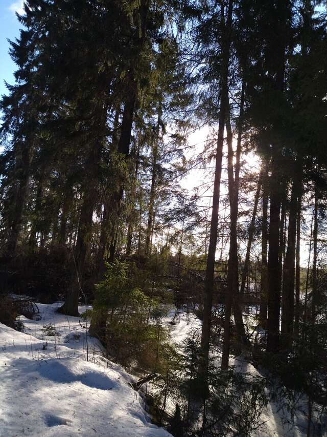 Гостевой дом Самая Ладога Приозерск-229
