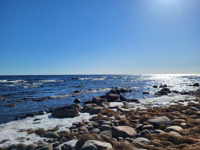 Гостевой дом Самая Ладога Приозерск-226