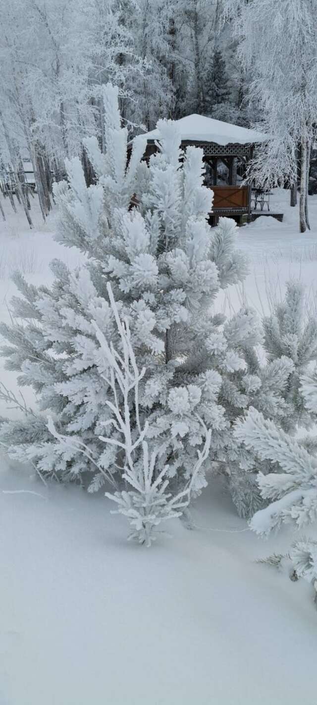 Гостевой дом Самая Ладога Приозерск-185