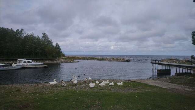Гостевой дом Самая Ладога Приозерск-92