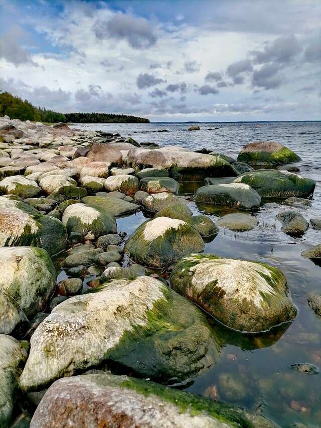 Гостевой дом Самая Ладога Приозерск-114