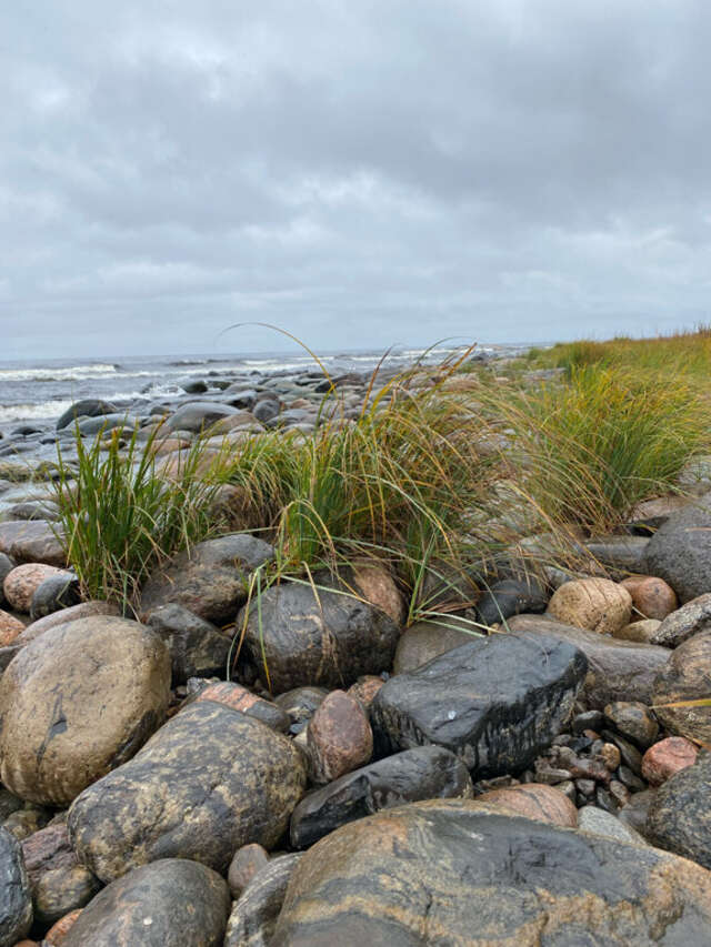 Гостевой дом Самая Ладога Приозерск-167