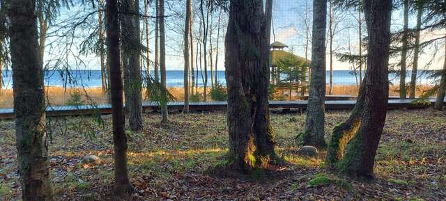 Гостевой дом Самая Ладога Приозерск-96
