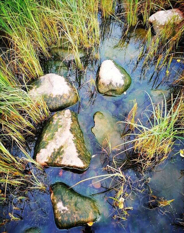 Гостевой дом Самая Ладога Приозерск-146